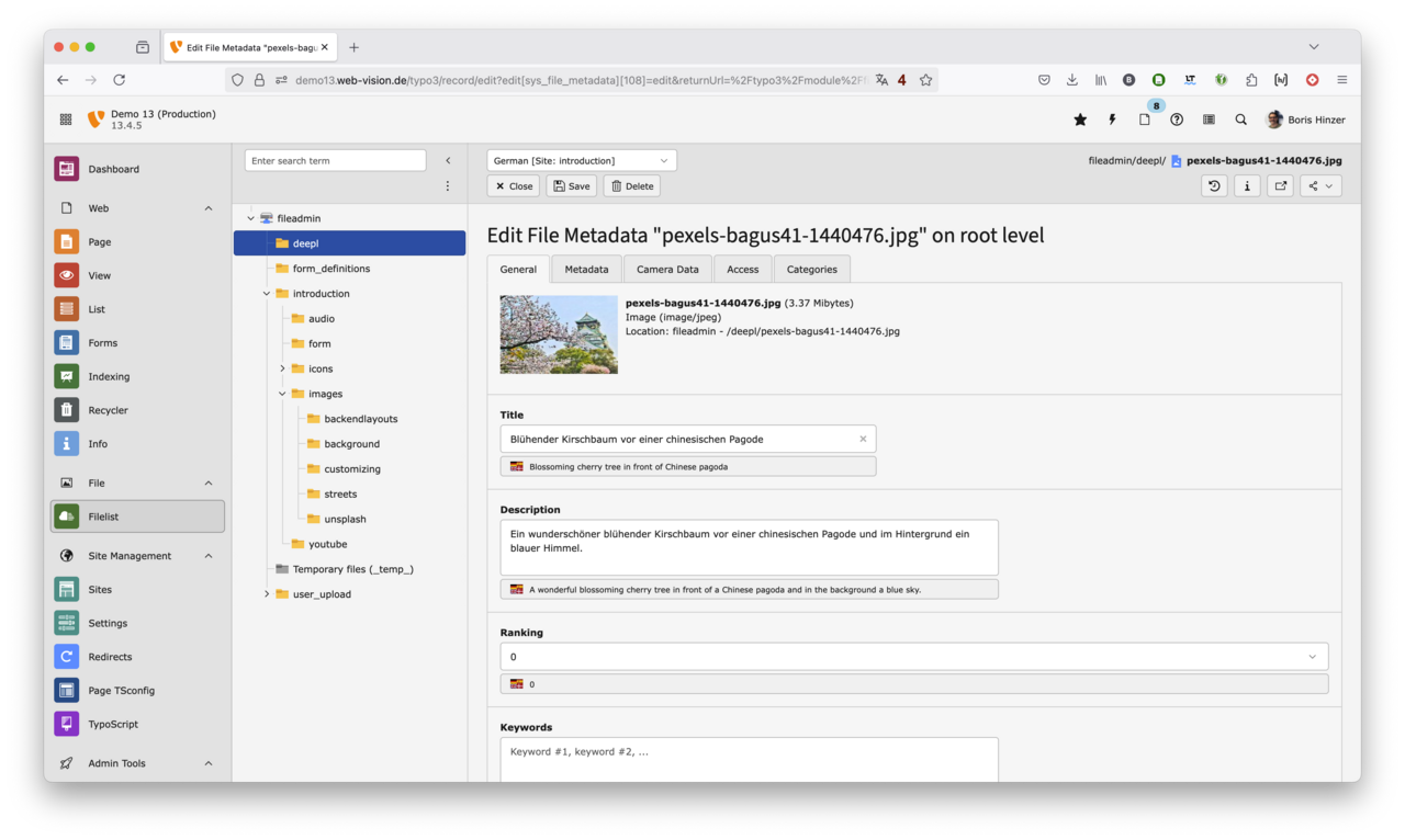 DeepL Translate Demo: Assets 2 detail view