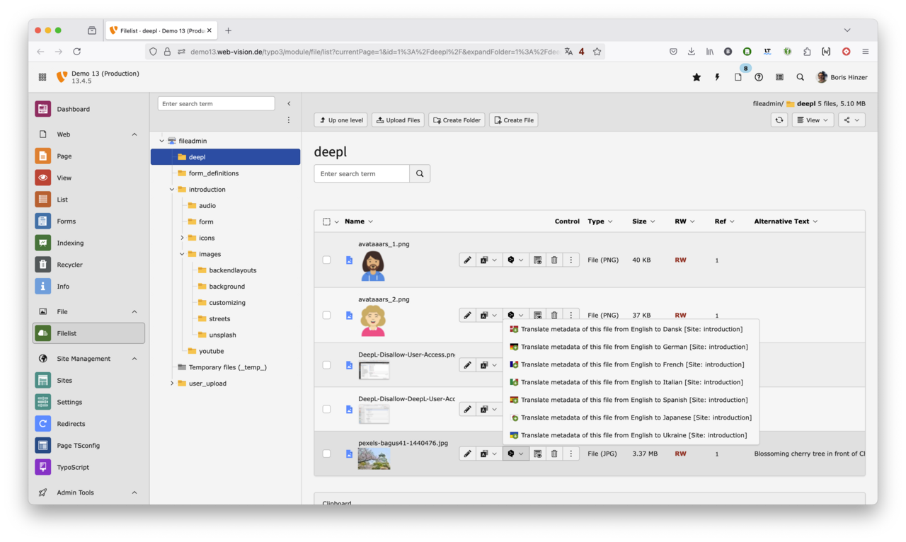 DeepL Translate Demo: Assets 1